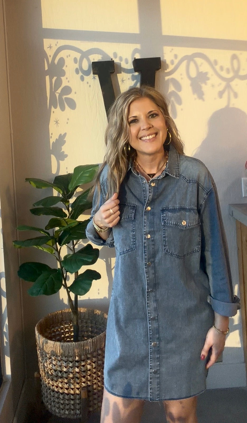 Scout Snap Denim Dress