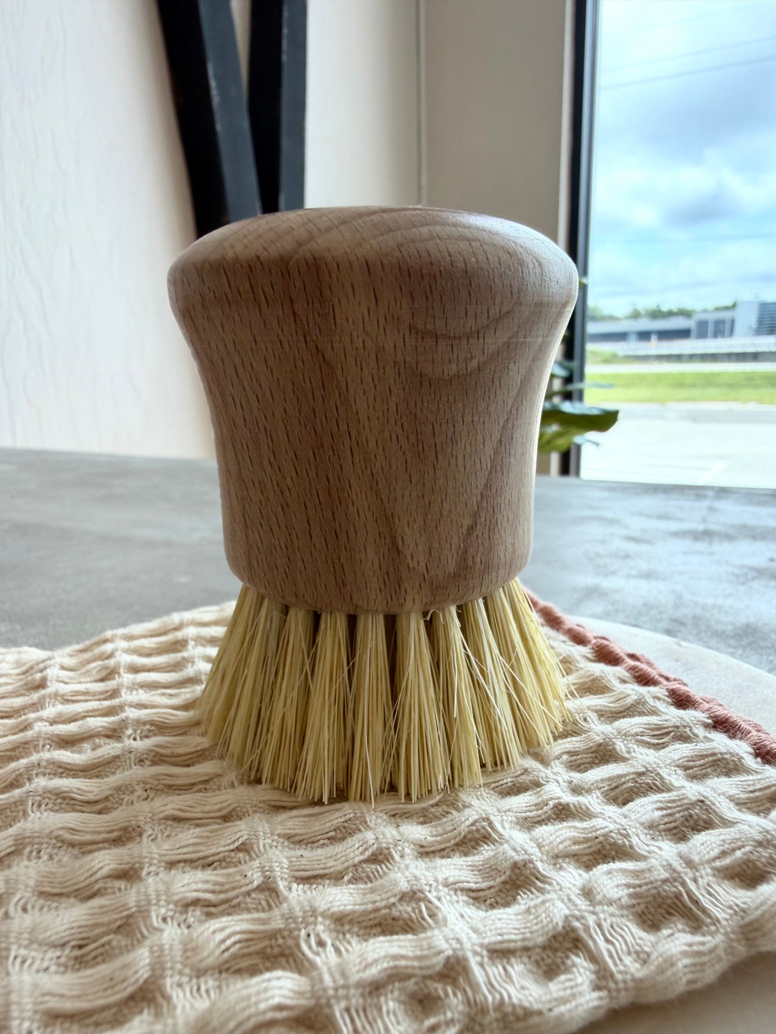 Sink Side Brush
