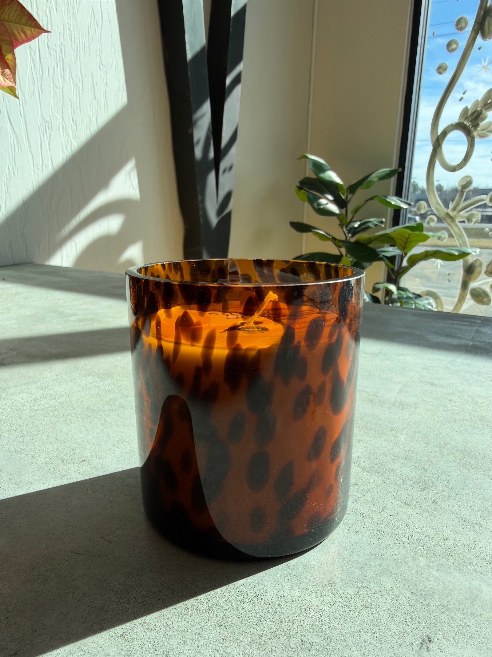 Sweet Grace Tortoise Candle